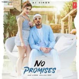No Promises Lyrics – AJ Singh