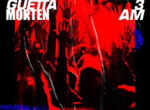 Photo of Detroit 3AM Song Lyrics – David Guetta & MORTEN (English)