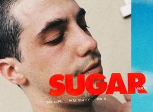 Photo of Sugar (Remix) Song Lyrics – Brockhampton (English)