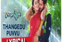 Photo of Thangedu Puvvu Song Lyrics –  Radha Krishna Movie