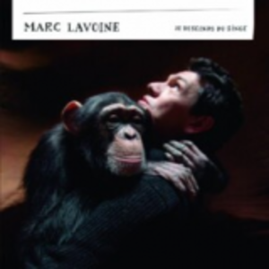 The parking lot of the angels Lyrics - Marc Lavoine