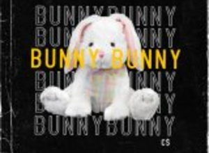 Photo of Bunny Lyrics –  C$