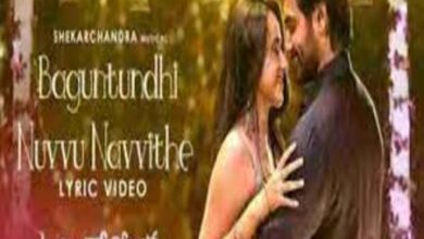 Photo of Baguntundhi Lyrics – Atithi Devobhava Telugu Movie