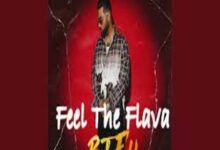 Photo of Feel The Flava (It’z All Good) Lyrics – Karan Aujla