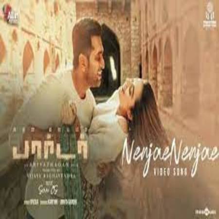 Nenjae Nenjae Lyrics - Borrder (2021) Tamil Movie