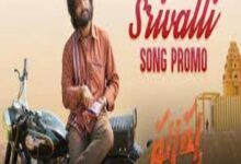 Photo of SRIVALLI Lyrics – PUSHPA Movie