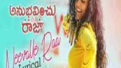 Photo of Neevalle Raa Lyrics – Anubhavinchu Raja Telugu Movie