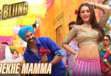 Photo of Cinema Dekhe Mamma Lyrics – Singh Is Bling , Akshay , Amy