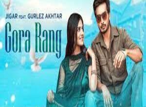 Photo of Gora Rang Lyrics – Jigar , Gurlez Akhtar