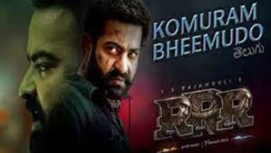 Photo of Komuram Bheemudo Lyrics – RRR Telugu movie