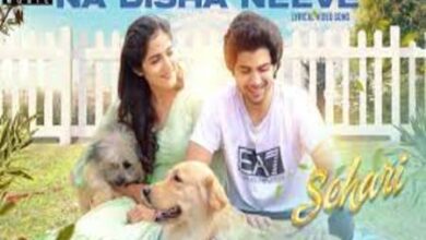Photo of Naa Disha Neeve  Lyrics – Sehari Telugu Movie