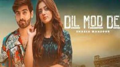 Photo of Dil Mod De Lyrics – Shazia Manzoor