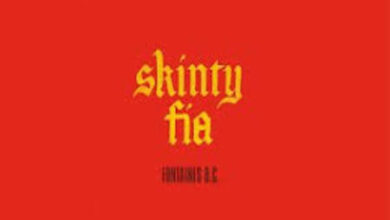 Photo of Skinty Fia Lyrics – Fontaines D.C.