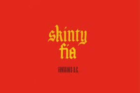 Skinty Fia Lyrics - Fontaines D.C.