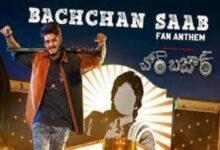 Photo of Bachchan Saab Fan Anthem Lyrics – Mangli