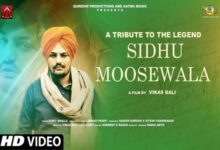 Photo of A Tribute To Sidhu Moosewala Lyrics – Sumit Bhalla