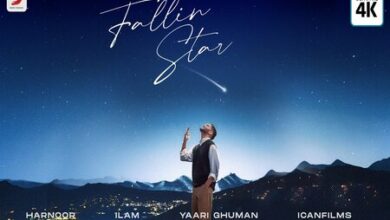 Photo of Fallin Star Lyrics – Harnoor