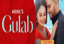 Photo of Gulab Lyrics –  Teri Meri Gal Ban Gayi | Akhil