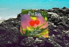 Photo of Potion  Lyrics –  Calvin Harris, Dua Lipa & Young Thug