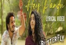 Photo of Hey Pandu Lyrics –  Butterfly 2022 Telugu Movie