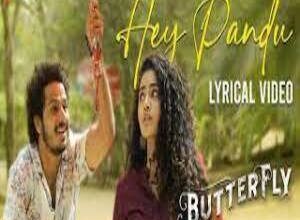 Photo of Hey Pandu Lyrics –  Butterfly 2022 Telugu Movie