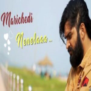 Marichedi Nenela Lyrics - Emaipoyave 2022 Telugu Movie