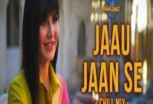 Photo of Jaau Jaan Se Lyrics –  Phone Bhoot | Rochak Kohli