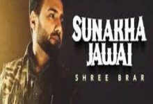 Photo of Sunakha Jawai Lyrics –  Shree Brar