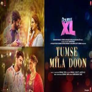 Tumse Mila Doon Lyrics - Double XL