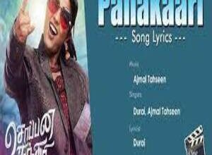 Photo of Panakaari Lyrics – Soppana Sundari