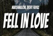 Photo of Fell In Love Lyrics – Marshmello & Brent Faiyaz
