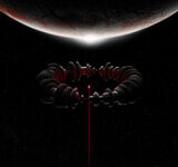 Shimmering Scars Lyrics - The Dark Forest