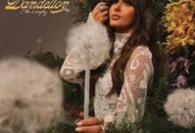 Dandelion Lyrics Lyrics - Ella Langley