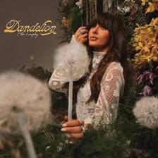 Dandelion Lyrics Lyrics - Ella Langley